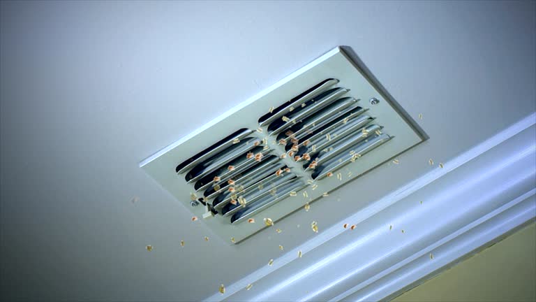 Best Dryer Vent Cleaning Services  in New Hope, AL