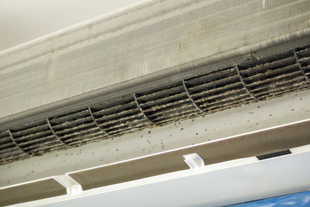 Best HVAC Maintenance and Cleaning  in New Hope, AL